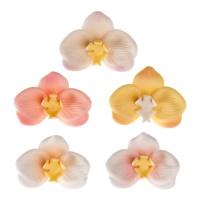 Figuras de azúcar de orquídeas de 7 cm - Dekora - 5 unidades