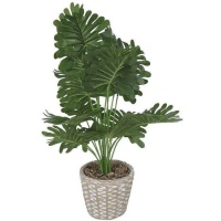 Planta artificial de monstera con macetero de cemento con cenefa de 15 x 56 cm