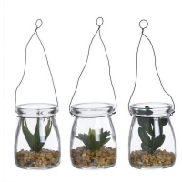 Planta artificial de cactus dentro de frasco de cristal para colgar surtida de 5 x 7 cm