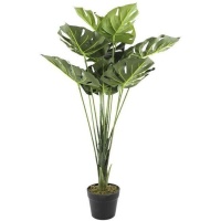 Planta artificial monstera de tallo largo con macetero negro de 0,90 m